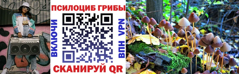 Галлюциногенные грибы ЛСД гидра ТОР Вышний Волочёк